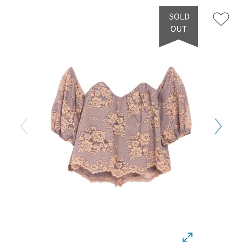 NWT Pink Floral Lace Off the Shoulder Crop Top